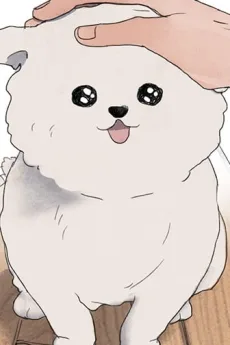투투