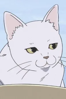 さくら