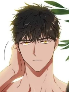 시거