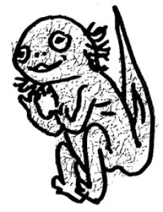 からあげ