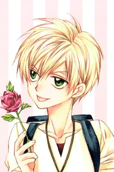 本条猫太
