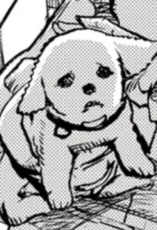 バキン