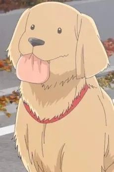 ヌイ