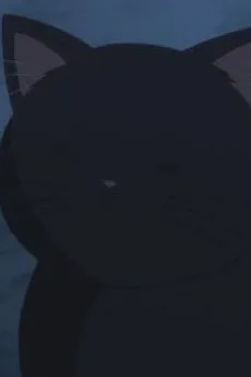 黒猫