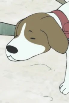 ケチャ
