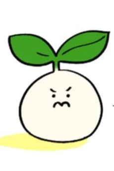 애채