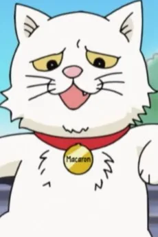 マカロン