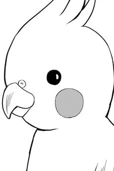 チェケ