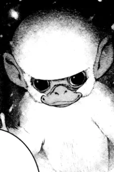 ブランカ