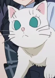 はんぺん