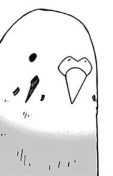 ピーちゃん