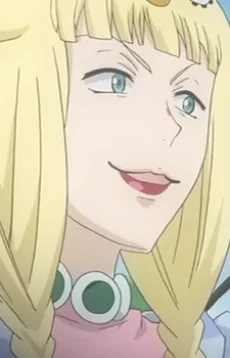 煌かぶり