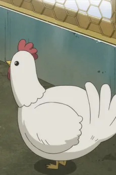 鶏A