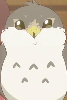 ノックス