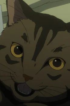 猫平