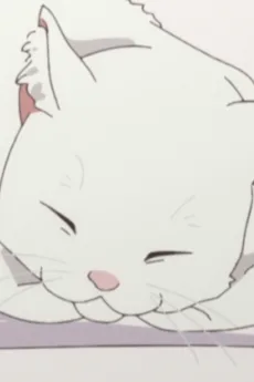 シロにゃん