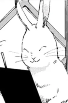 ウサギ