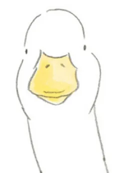きいろ