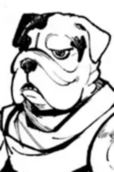 テディ