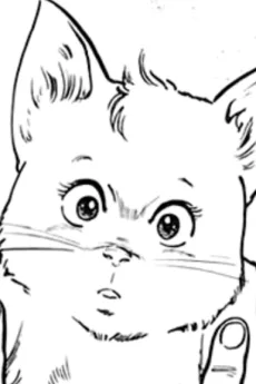 ミャア