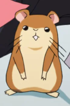 ハム蔵