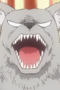 狼