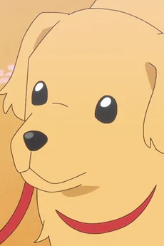 きゅーたろう