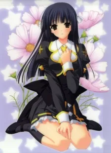 輝夜 姫の宮