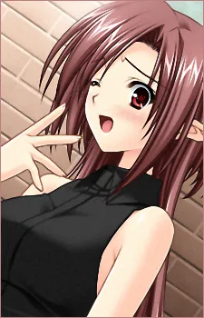 サイネリア