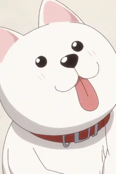 犬