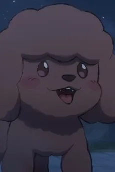 泰迪犬