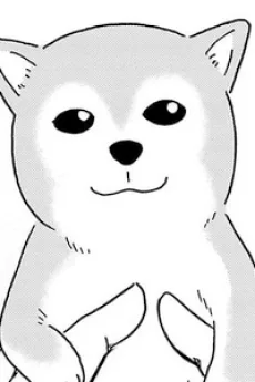 ボンド