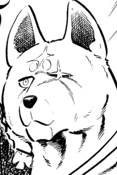 ハヤテ
