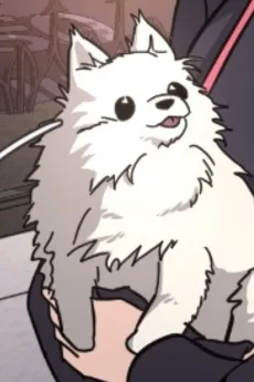 뚜이