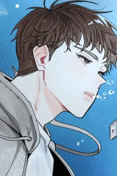 정해든