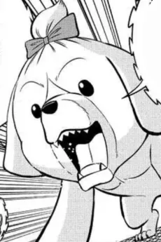 マルチ