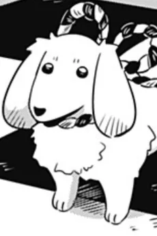 コタロー