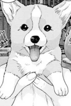 もち