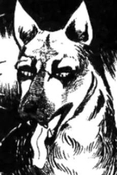 ビッグハンター