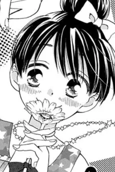 ハコ