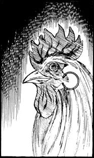チキン・ルーシー