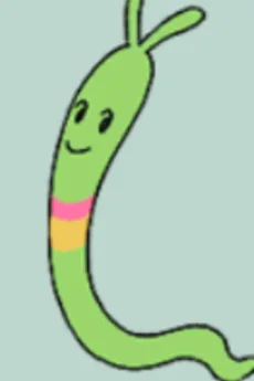 ケム
