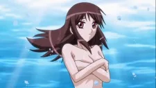 矢車操