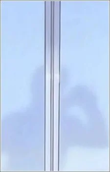 ヒカルの父