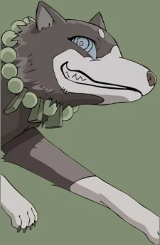 白尾