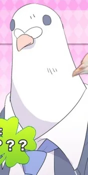 尾呼 散