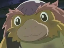 ボンゴ