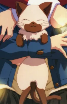 ピロ