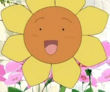 ブロッサム