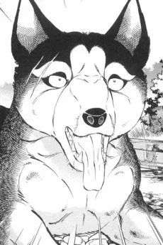 白狼